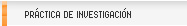 Prctica de Investigacin